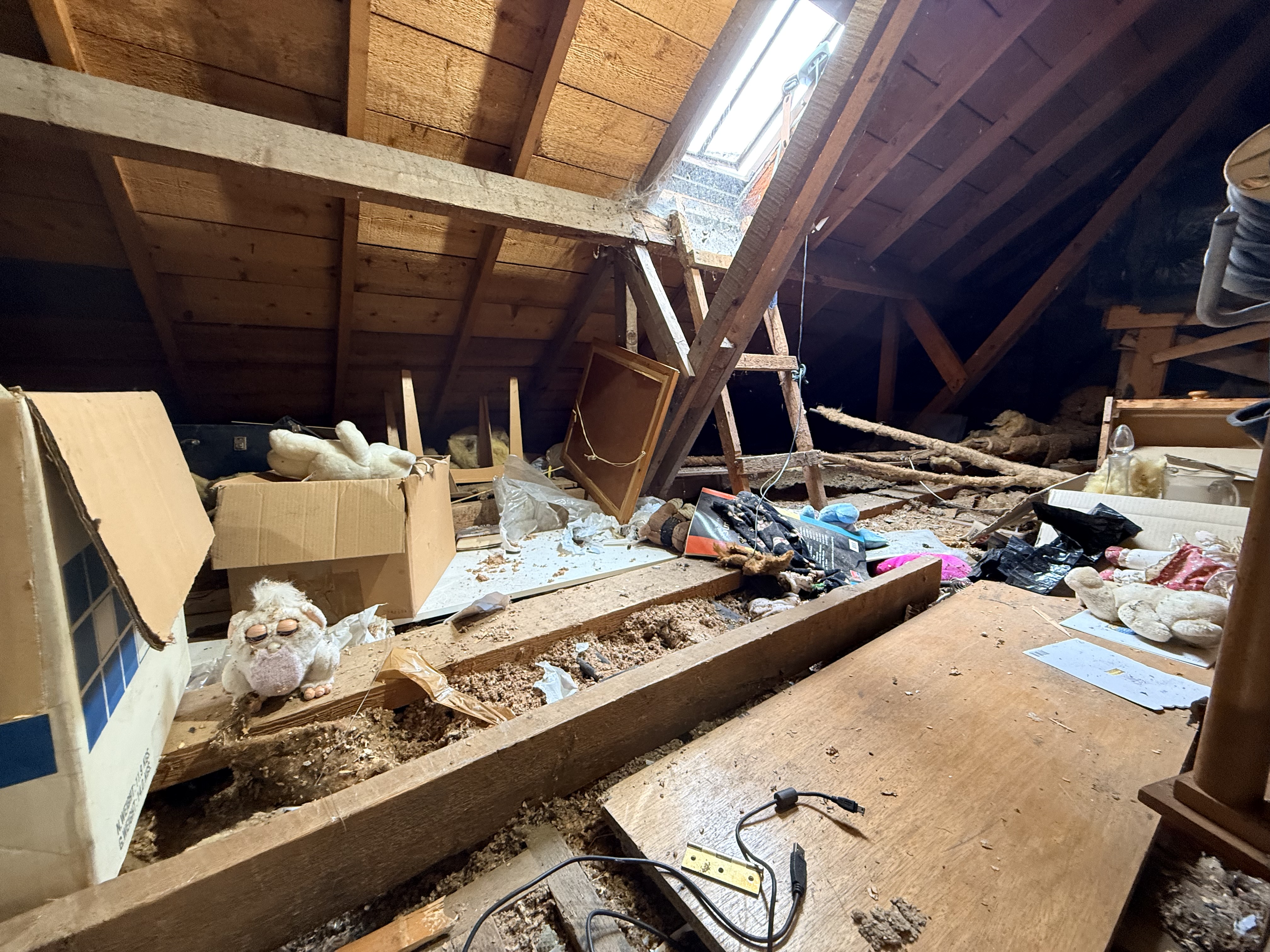 Clear view across the opened attic floor