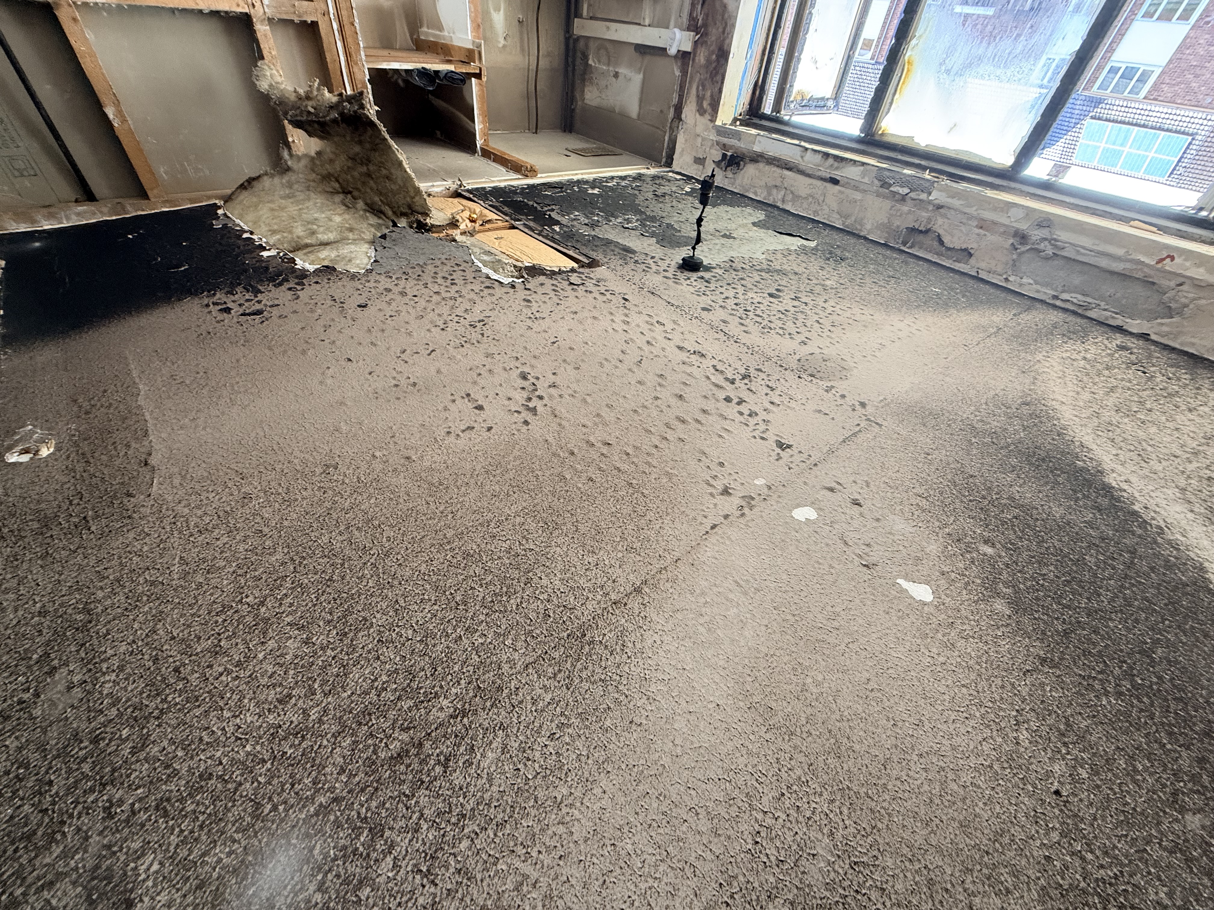 Cleanup progress day 9 image 1