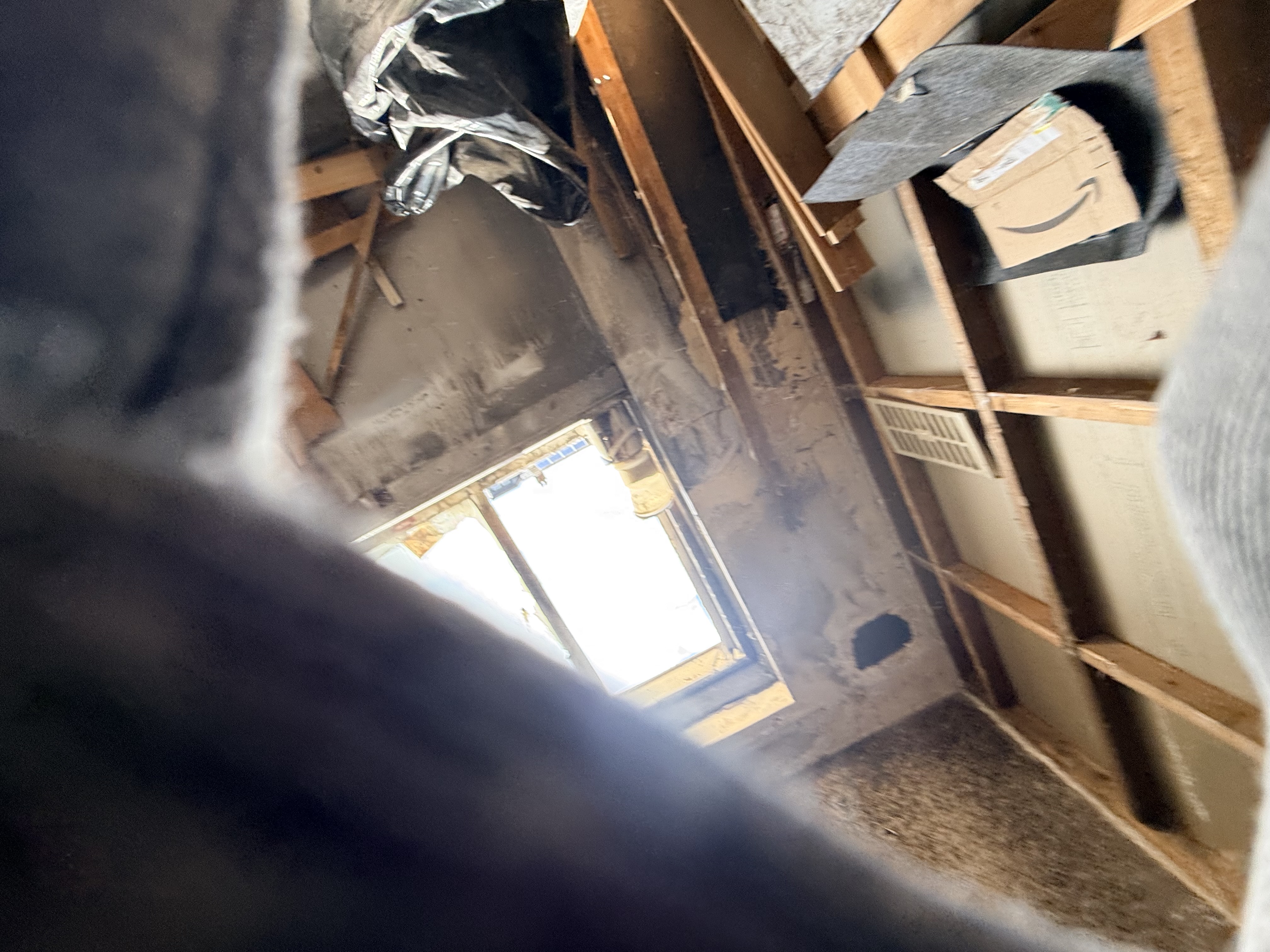 Cleanup progress day 9 image 3
